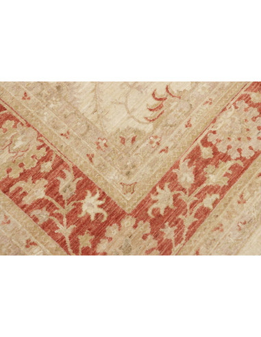 Tappeto Zigler Pakistan cm.246x299