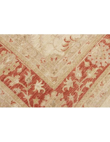 Tappeto Zigler Pakistan cm.246x299