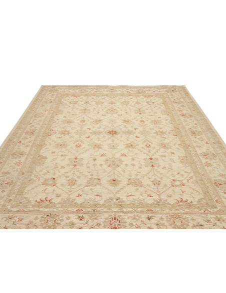 Tappeto Zigler Pakistan cm.245x299