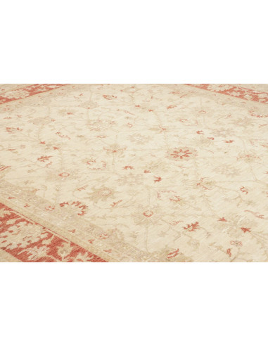 Tappeto Zigler Pakistan cm.246x299