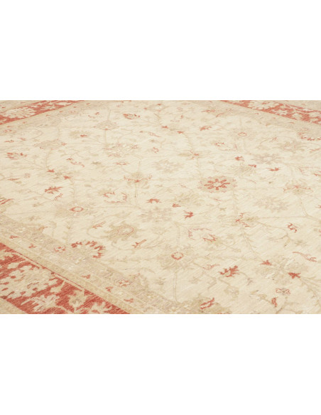 Tappeto Zigler Pakistan cm.246x299