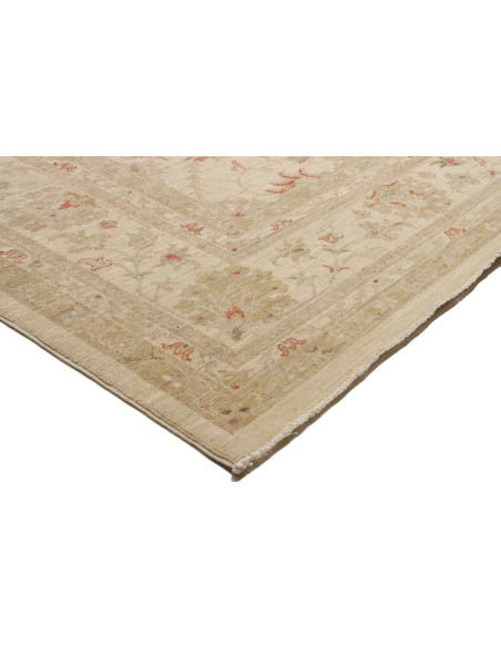 Tappeto Zigler Pakistan cm.245x299