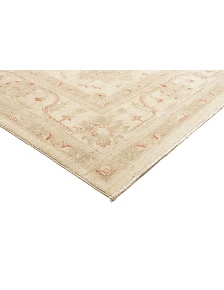 Tappeto Zigler Pakistan cm.243x315