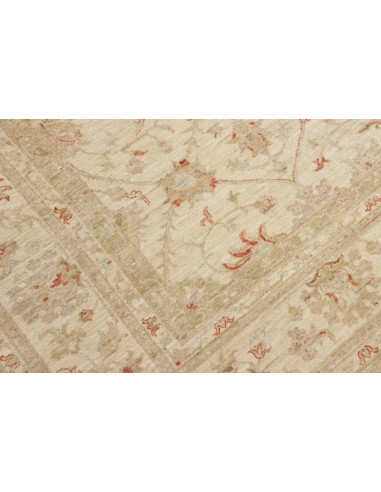 Tappeto Zigler Pakistan cm.245x299