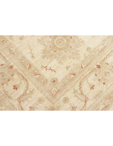 Tappeto Zigler Pakistan cm.243x315