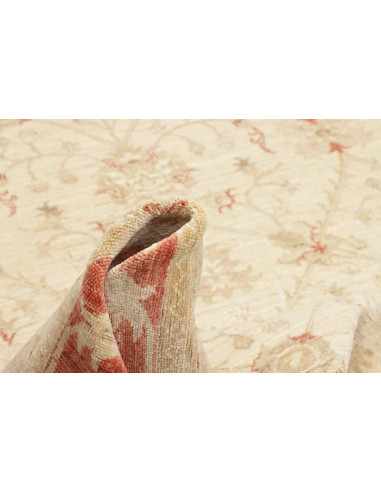 Tappeto Zigler Pakistan cm.246x299