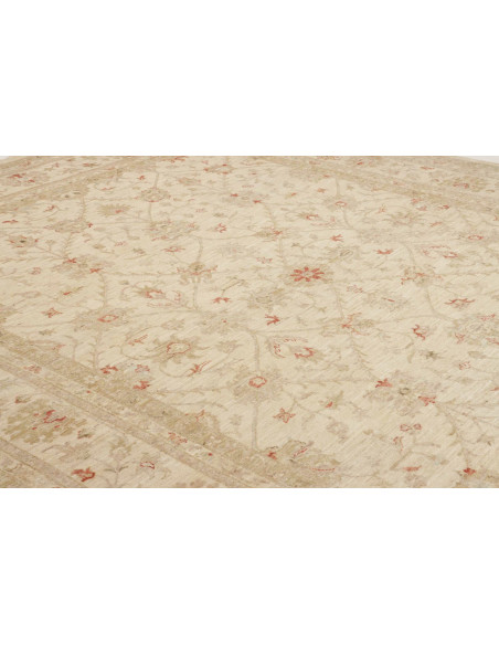 Tappeto Zigler Pakistan cm.245x299