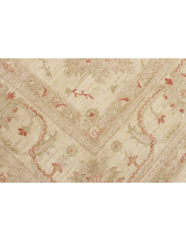 Tappeto Zigler Pakistan cm.243x315