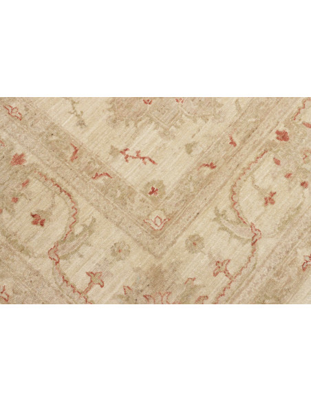 Tappeto Zigler Pakistan cm.243x315