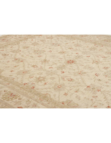 Tappeto Zigler Pakistan cm.245x299