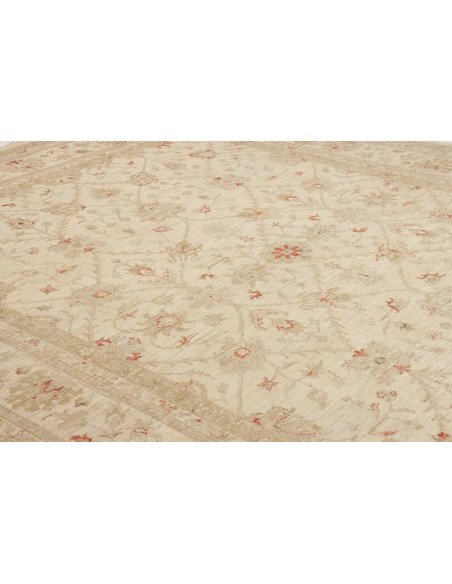 Tappeto Zigler Pakistan cm.245x299