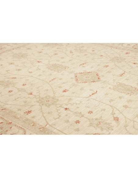 Tappeto Zigler Pakistan cm.243x315