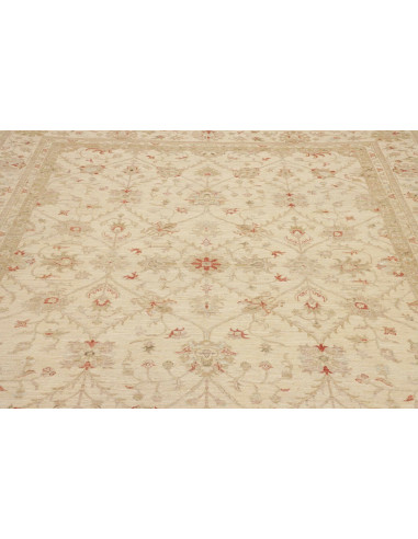 Tappeto Zigler Pakistan cm.245x299