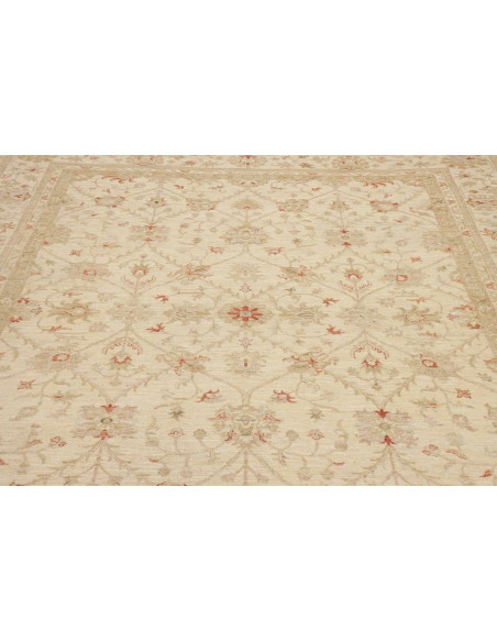 Tappeto Zigler Pakistan cm.245x299