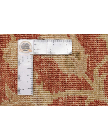 Tappeto Zigler Pakistan cm.246x299