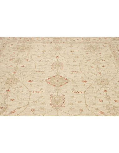 Tappeto Zigler Pakistan cm.243x315