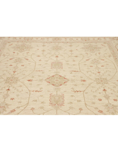 Tappeto Zigler Pakistan cm.243x315