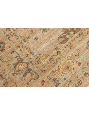 Tappeto Zigler Pakistan cm.245x346