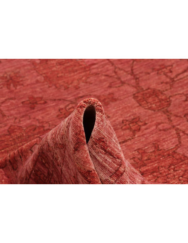 Tappeto Zigler Pakistan cm.268x373