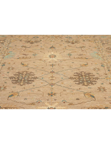 Tappeto Zigler Pakistan cm.245x346