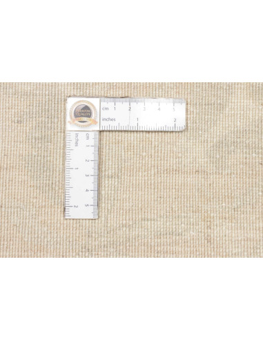 Tappeto Zigler Super Fine Pakistan cm.245x296