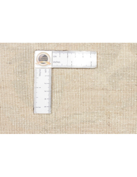 Tappeto Zigler Super Fine Pakistan cm.245x296