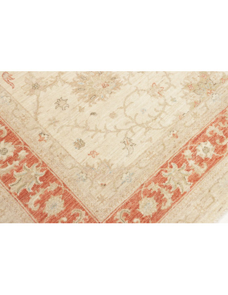 Tappeto Zigler Pakistan cm.206x242