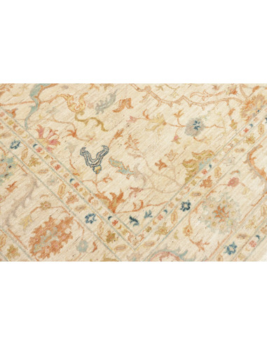 Tappeto Zigler Pakistan cm.199x278