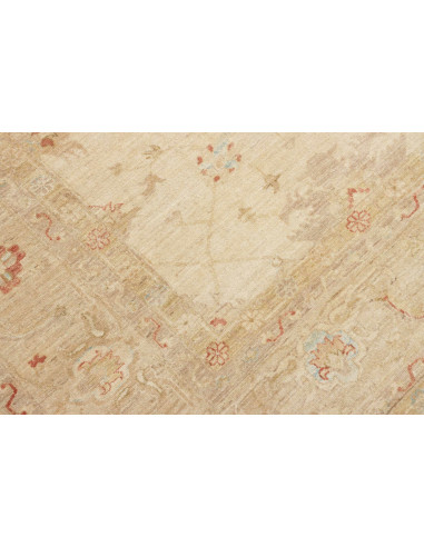 Tappeto Zigler Pakistan cm.244x339