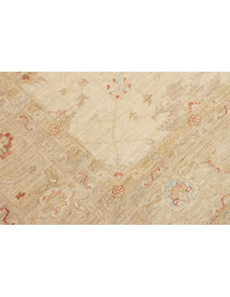 Tappeto Zigler Pakistan cm.244x339