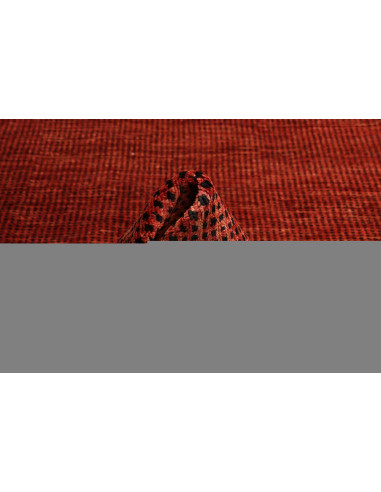 Tappeto Shayan Pakistan cm.169x244