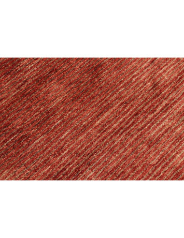 Tappeto Shayan Pakistan cm.255x299