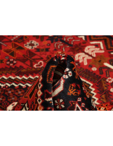 Tappeto Shiraz  Kashghai Persia cm.158x257