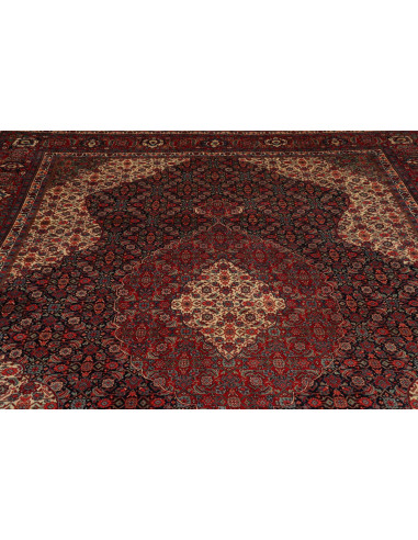Tappeto Sarough Persia cm.279x398