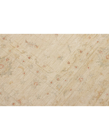 Tappeto Zigler Pakistan cm.250x352