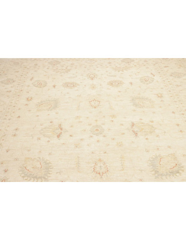 Tappeto Zigler Pakistan cm.250x352