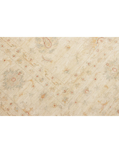 Tappeto Zigler Pakistan cm.250x301