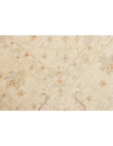 Tappeto Zigler Pakistan cm.248x291