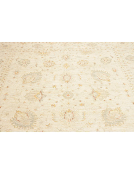 Tappeto Zigler Pakistan cm.250x301