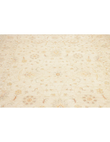 Tappeto Zigler Pakistan cm.248x291