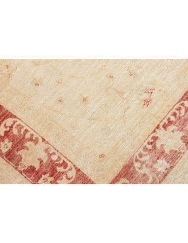 Tappeto Zigler Pakistan cm.209x287