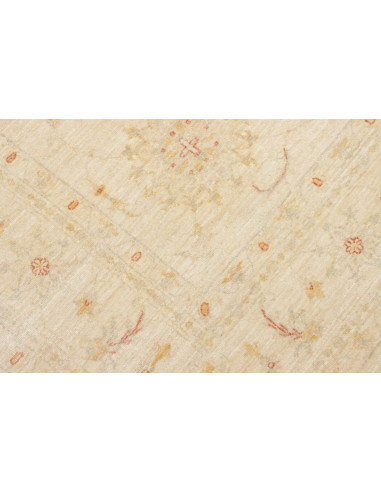 Tappeto Zigler Pakistan cm.208x282