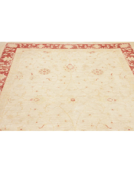 Tappeto Zigler Pakistan cm.209x287