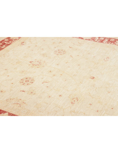 Tappeto Zigler Pakistan cm.209x287