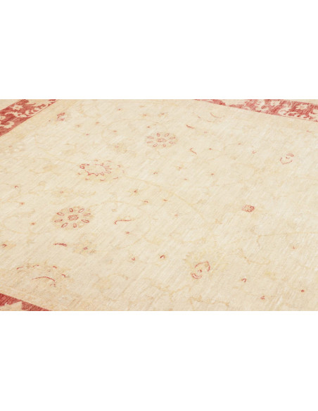 Tappeto Zigler Pakistan cm.209x287