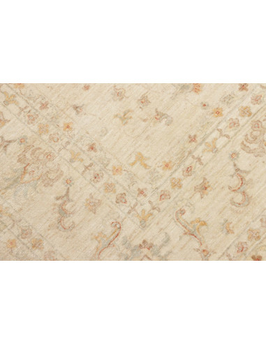 Tappeto Zigler Pakistan cm.248x301