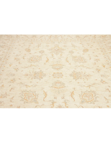 Tappeto Zigler Pakistan cm.248x301