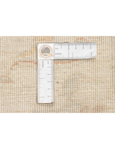 Tappeto Zigler Pakistan cm.248x301