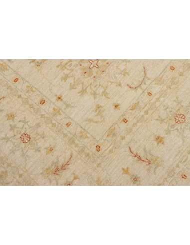 Tappeto Zigler Pakistan cm.245x295