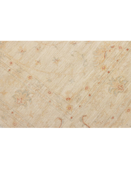 Tappeto Zigler Pakistan cm.215x285